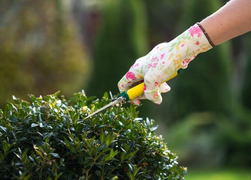 Accessibility statement introduction for Gardeners Whetstone