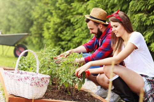 Garden maintenance and outdoor care in Whetstone