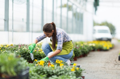 Reporting and safeguarding section for Gardeners Whetstone