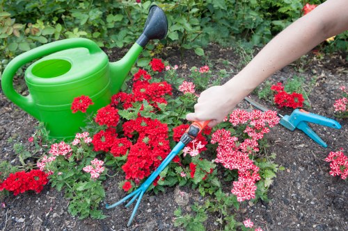 Gardeners in Whetstone working on lawn edging, borders, and plant care