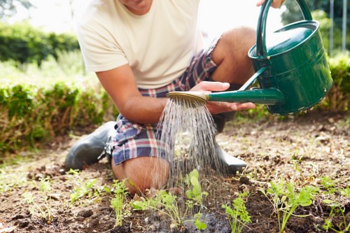 Free quote policy for garden clearance near a busy Whetstone street