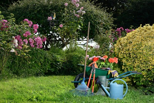 Professional lawn mowing in Whetstone on a residential garden