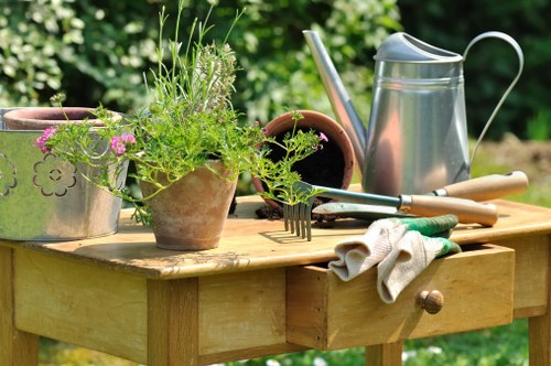 Healthy Whetstone garden with pruning, weed control, and lawn upkeep