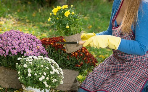 Annual review section for Gardeners Whetstone