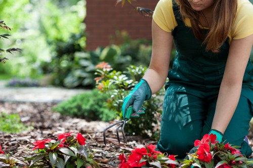Accessibility request support for local gardening services