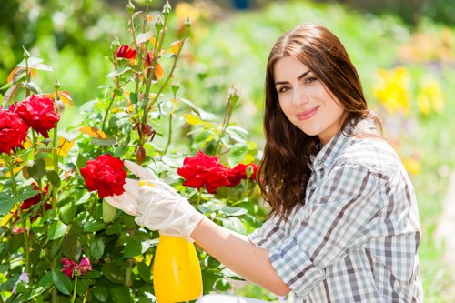 Professional garden maintenance in Whetstone for shrubs, borders, and outdoor spaces