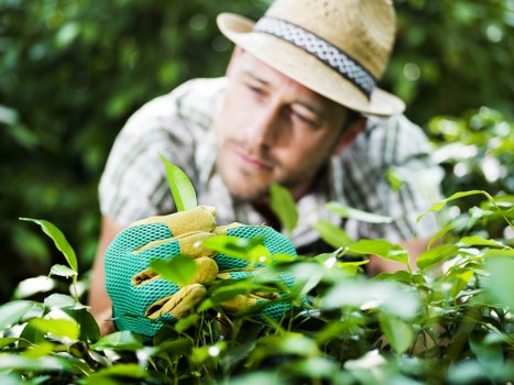 Safety and liability conditions for garden maintenance
