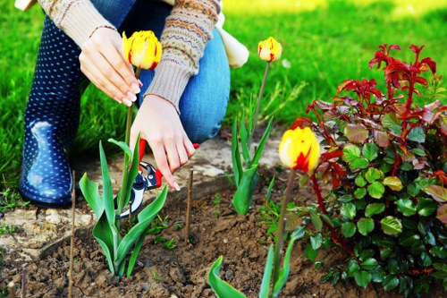 Low-maintenance planting and lawn landscaping in Whetstone