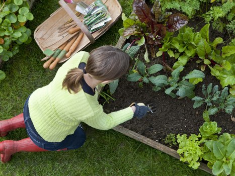Aeration and feeding treatment for lawn care in Whetstone