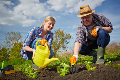 Seasonal gardening services in Whetstone keeping a neat and healthy garden