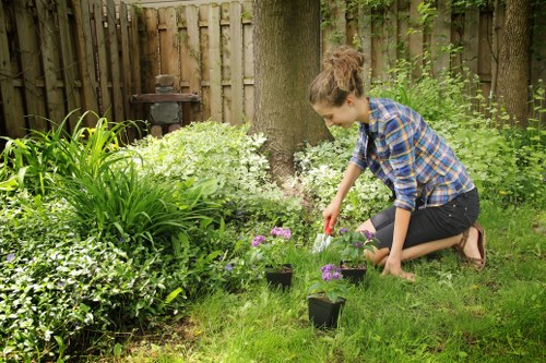 Professional patio washing removing moss and algae in Whetstone