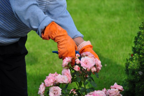 Eco-friendly garden waste recycling and sustainability in Whetstone