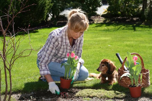 Whetstone gardening services improving a green outdoor space with seasonal planting