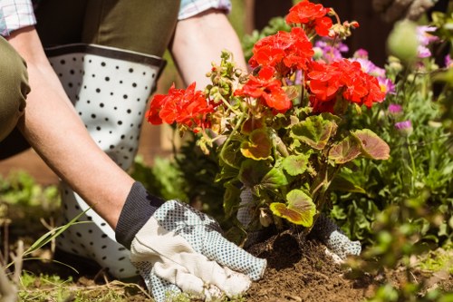 Image of a resolved gardening service complaint with a clear outcome