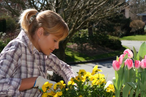 Seasonal garden care and pruning in Whetstone
