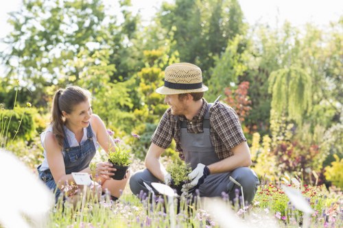 Insured garden maintenance team planning work